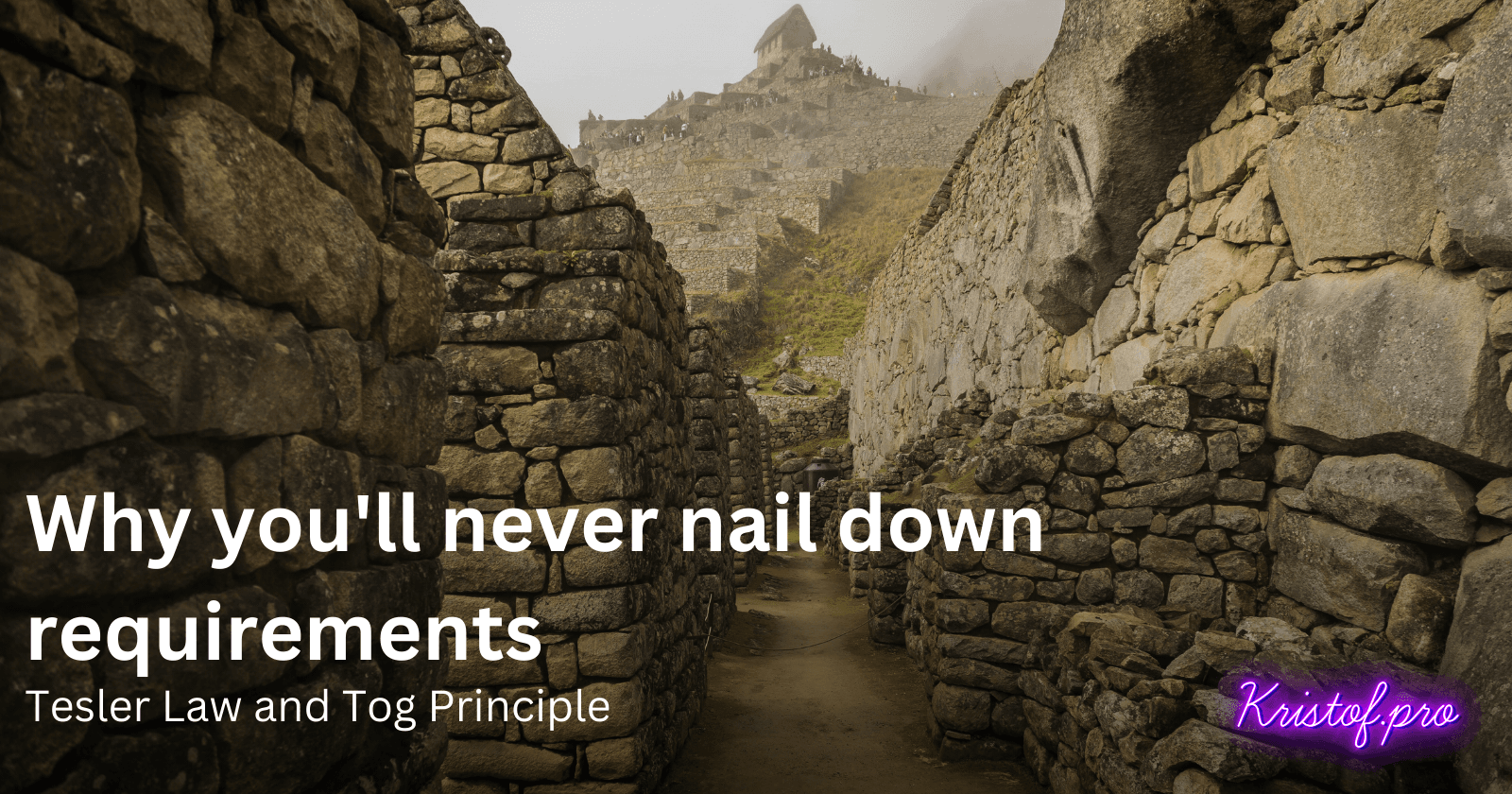 Cover image for Why you'll never nail down requirements - Tog Paradox