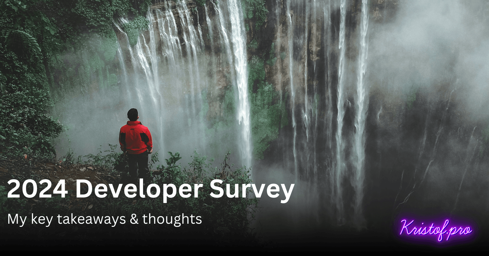 Cover image for 2024 Developer Survey